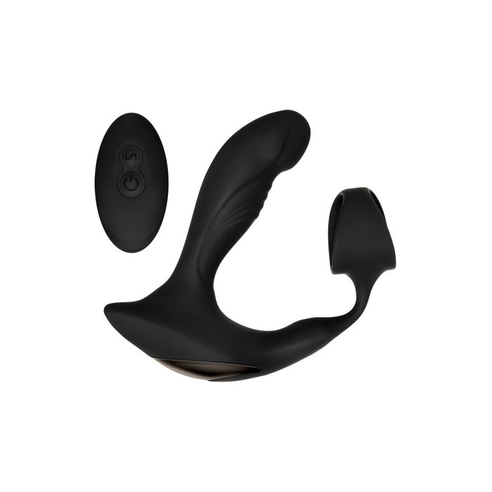 Vibrador anal Zero Tolerance Zero Tolerance Negro