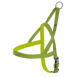 Nayeco Arnés de Neopreno Pistacho 15mm x 54-60cm
