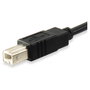 Equip Cable USB 2.0 Tipo C a USB B (Macho/Macho) 1 m Negro para Transferencia de Datos - 480 Mbps, Plug and Play, RoHS