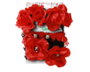 Atosa Kit de Accesorios Catrina con Tocado de Rosas Rojas, Choker y Pulseras Skulls en Negro