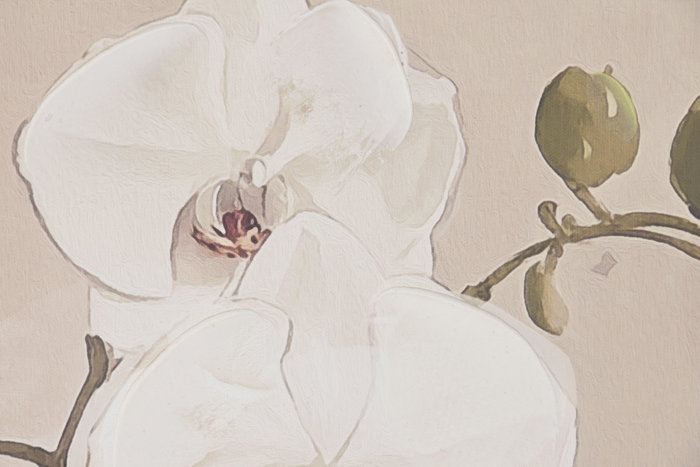 DKD Home Decor Cuadro Oriental Rojo Blanco 3.5 x 102.5 x 82.5 cm (2 Unidades)