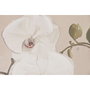 DKD Home Decor Cuadro sobre Lienzo de Jarrones y Orquídeas Estilo Oriental