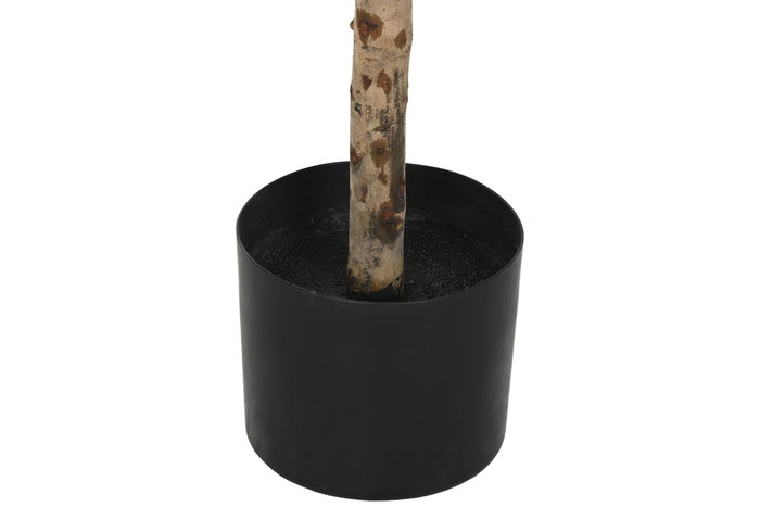 DKD Home Decor Árbol Olivo Artificial Verde 60 x 120 x 60 cm Pack 2 Unidades Poliéster DKD Home Decor Árbol Olivo Artificial Verde 60 x 120 x 60 cm Pack 2 Unidades Poliéster