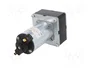 CROUZET Motor Eléctrico DC 17W 24V con Engranaje de Reducción