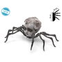Araña con cara de muñeca de 15 cm Gris