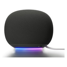Google Home Speaker Hazel