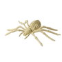 Araña Esqueleto Decorativa Halloween Blanco 24 x 12 cm