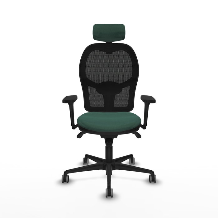 PIQUERAS Y CRESPO Silla de oficina Jorquera con mecanismo Sincro, Tela Verde botella y Malla Negra PIQUERAS Y CRESPO Silla de oficina Jorquera con mecanismo Sincro, Tela Verde botella y Malla Negra