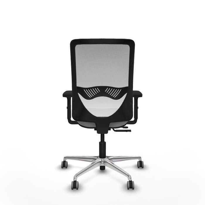 PIQUERAS Y CRESPO Silla de oficina Zulema con mecanismo Sincro/Traslack, Gris claro y Blanco PIQUERAS Y CRESPO Silla de oficina Zulema con mecanismo Sincro/Traslack, Gris claro y Blanco