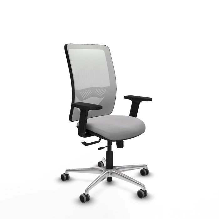 PIQUERAS Y CRESPO Silla de oficina Zulema con mecanismo Sincro/Traslack, Gris claro y Blanco PIQUERAS Y CRESPO Silla de oficina Zulema con mecanismo Sincro/Traslack, Gris claro y Blanco