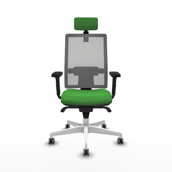 PIQUERAS Y CRESPO Silla de oficina Horna con mecanismo Sincro, Tela Verde y Malla Gris PIQUERAS Y CRESPO Silla de oficina Horna con mecanismo Sincro, Tela Verde y Malla Gris