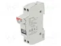 DF ELECTRIC Portafusibles 10x38mm 32A 690VAC 1+N