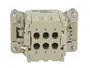 HARTING Han® Ex Plantilla de Contacto Macho 6 Pines