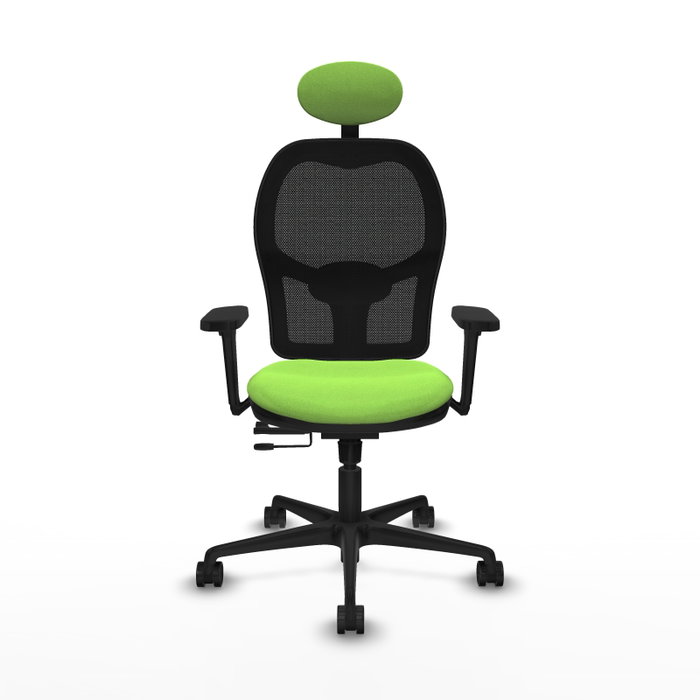PIQUERAS Y CRESPO Silla de oficina Jorquera con mecanismo Sincro/Traslack, color Pistacho y Negro PIQUERAS Y CRESPO Silla de oficina Jorquera con mecanismo Sincro/Traslack, color Pistacho y Negro