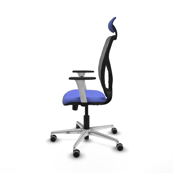 PIQUERAS Y CRESPO Silla de oficina Motilla con mecanismo Sincro/Traslack, Azul claro y Gris PIQUERAS Y CRESPO Silla de oficina Motilla con mecanismo Sincro/Traslack, Azul claro y Gris