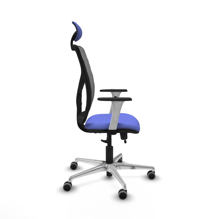 PIQUERAS Y CRESPO Silla de oficina Motilla con mecanismo Sincro/Traslack, Azul claro y Gris PIQUERAS Y CRESPO Silla de oficina Motilla con mecanismo Sincro/Traslack, Azul claro y Gris
