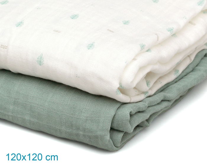 KioKids Set 2 Muselinas Salvia, Blanco Y Estampado 120x120 cm Bambú y Algodón Petit Moments KioKids Set 2 Muselinas Salvia, Blanco Y Estampado 120x120 cm Bambú y Algodón Petit Moments