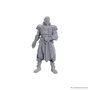 D&D Nolzur's Marvelous Miniatures Miniatura sin pintar Jaheira & Halsin