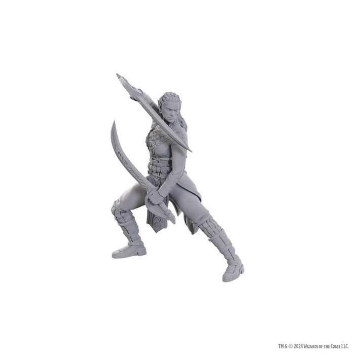 D&D Nolzur's Marvelous Miniatures Miniatura sin pintar Jaheira & Halsin