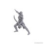 D&D Nolzur's Marvelous Miniatures Miniatura sin pintar Jaheira & Halsin