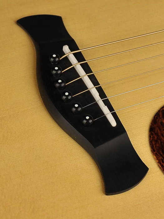 Richwood G-70-CEVA Grand Auditorium