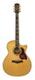 Richwood G-70-CEVA Grand Auditorium