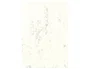 Michel Papel Marmoleado A4 200 gr Pack 100H Gris