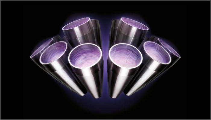 Dyson V11 Fluffy Níquel/Rojo