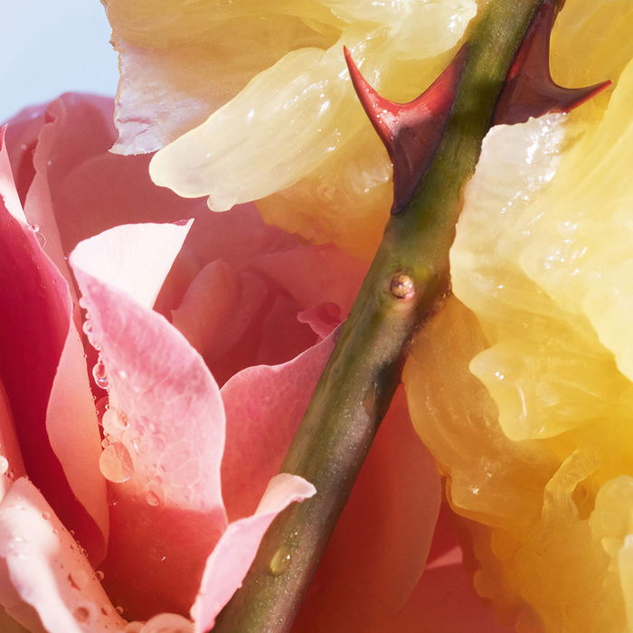 Guerlain LA PETITE ROBE NOIRE edt vapo 20 ml