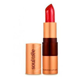 SOULTREE Barra de Labios 5810 Java Brown 4 Gr - Maquillaje Ayurvédico Natural para Labios Suaves e Hidratados, Sin Tóxicos