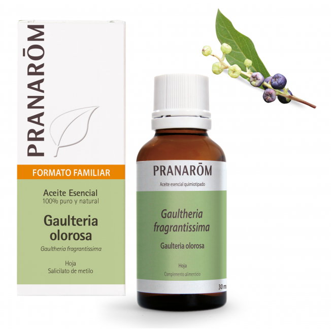 PRANAROM Aceite esencial de Gaultheria olorosa BIO 30 ml