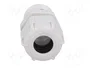 BM GROUP Sello aislante PG13,5 gris