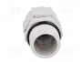 BM GROUP Sello aislante PG13,5 gris