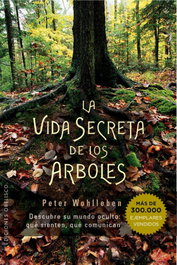La vida secreta de los árboles, Peter Wohlleben - Obelisco Ediciones