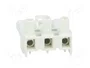 BM GROUP Bloque de Bornas Desmontable Blanco 16A