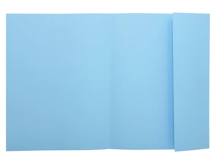 Exacompta Subcarpeta de Cartulina A4 Azul con Solapa Interior
