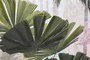 DKD Home Decor Cuadro de Palmeras en Lienzo 103x4,5x143 (Surtido de 2 unidades)
