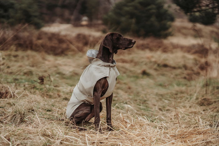 Hunter Abrigo Milford Beige Resistente al Agua y al Viento para Perros