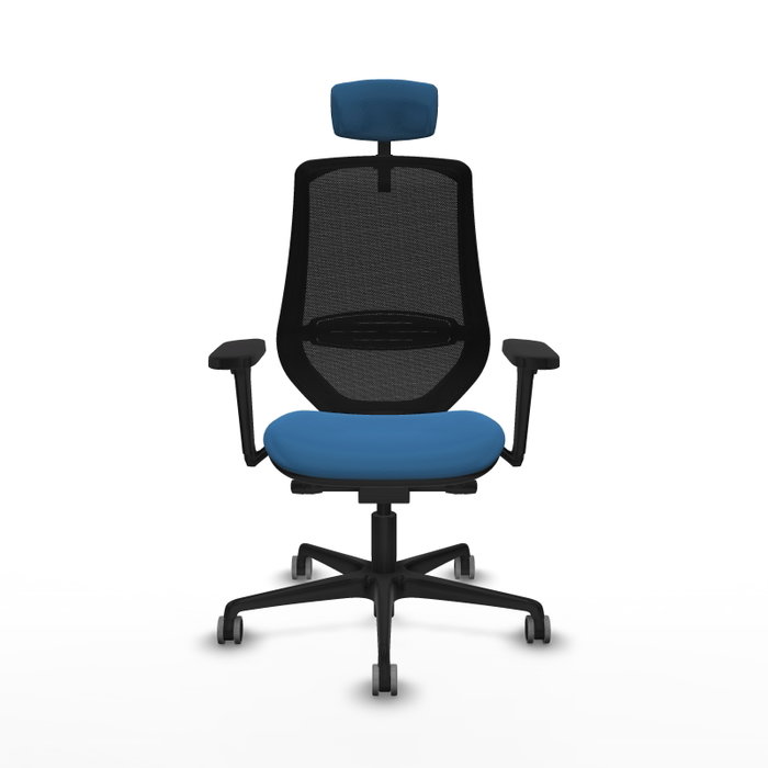 PIQUERAS Y CRESPO Silla de oficina Mardos con mecanismo Sincro/Traslack Azul claro y Negro PIQUERAS Y CRESPO Silla de oficina Mardos con mecanismo Sincro/Traslack Azul claro y Negro