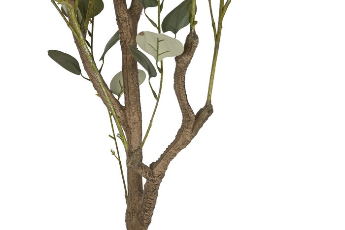 DKD Home Decor Árbol Decorativo Eucalipto 2 Verde 80 x 180 x 80 cm de PE y Cemento (2 Unidades)