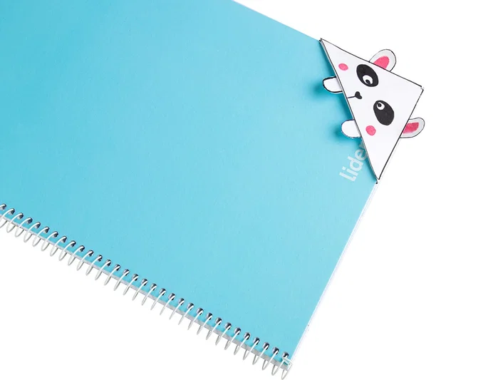 Liderpapel Cartulina Rosa 50x65 cm 180g/m2