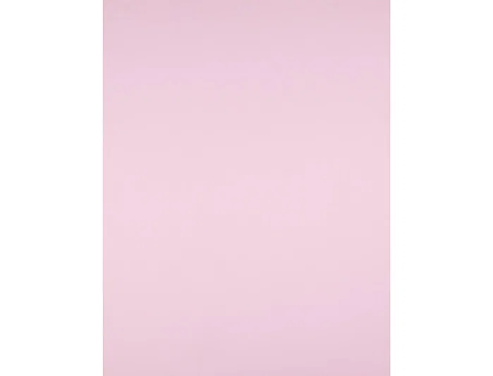 Liderpapel Cartulina Rosa 50x65 cm 180g/m2