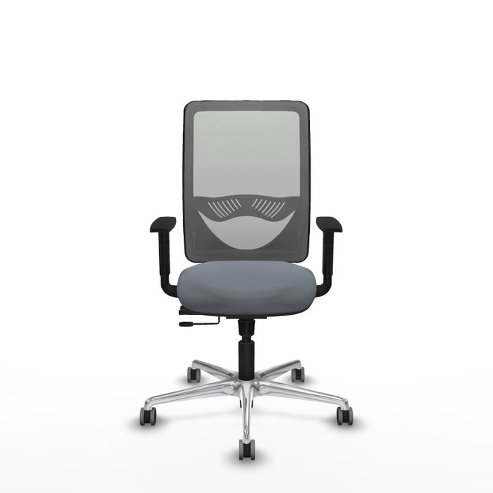 PIQUERAS Y CRESPO Silla de oficina Zulema Gris con mecanismo Sincro/Traslack PIQUERAS Y CRESPO Silla de oficina Zulema Gris con mecanismo Sincro/Traslack