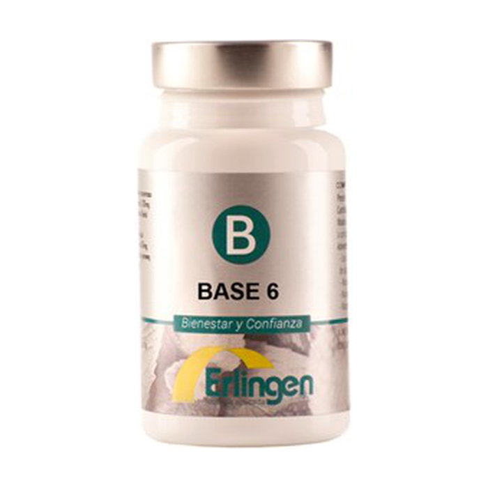 Erlingen Base 6 60 comprimidos