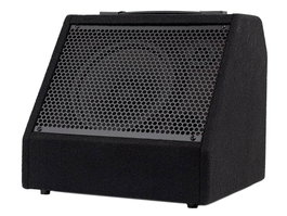 Hayman Monitor Batería Digital 30W Bluetooth