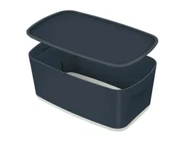 Leitz Caja con Tapa Cosy Gris 318x128x191 mm