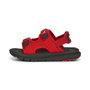 Sandalias Infantiles Puma Evolve For All Time Rojo 28