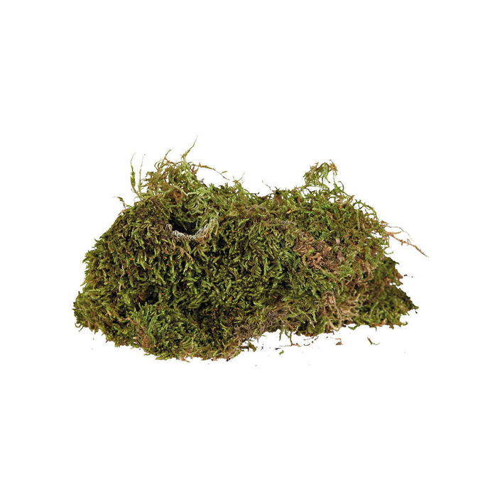 Sustrato Trixie 200 g Musgo