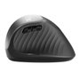 Ewent EW3229 Ratón Ergonómico Inalámbrico Gris