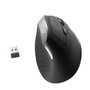Ewent EW3229 Ratón Ergonómico Inalámbrico Gris